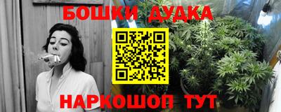 spice Надым