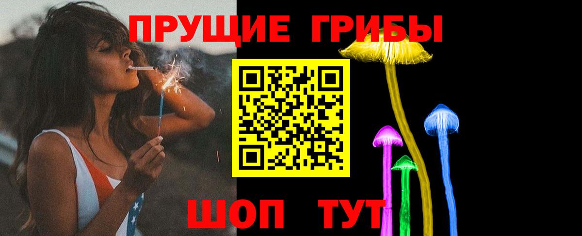 Сарапул  Галлюциногенные грибы Psilocybe  Вход с VPN 